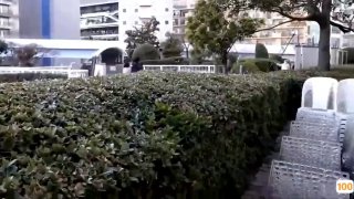 老司机车牌你懂的㊙️➕av有码中文在线